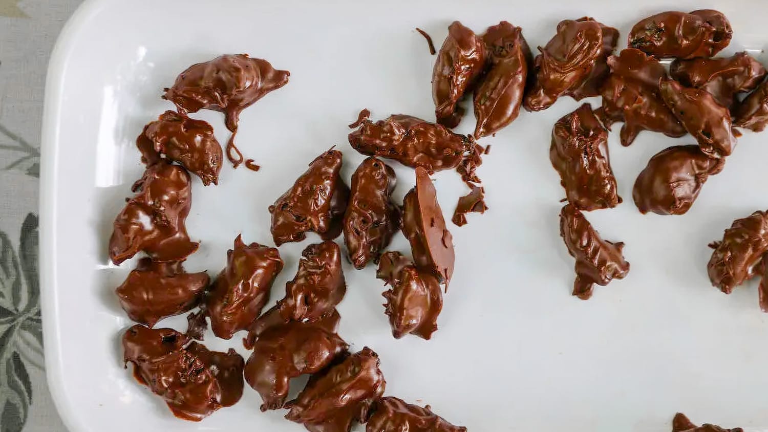 Chocolate Covered Crickets