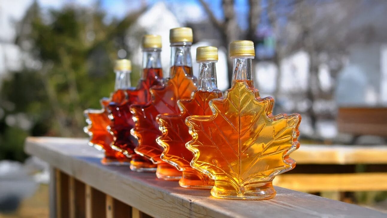 Maple Syrup