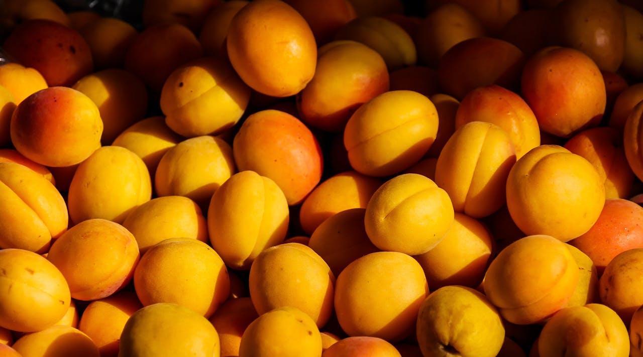 Apricot Day