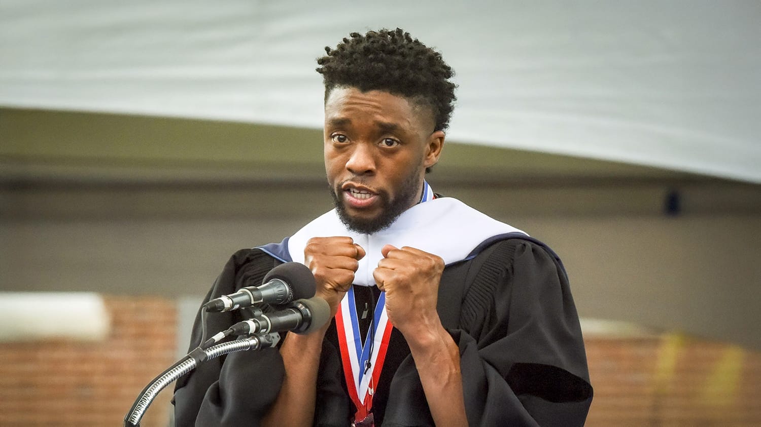 Chadwick Boseman Day