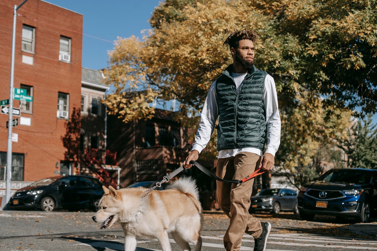 Walk A Dog Month
