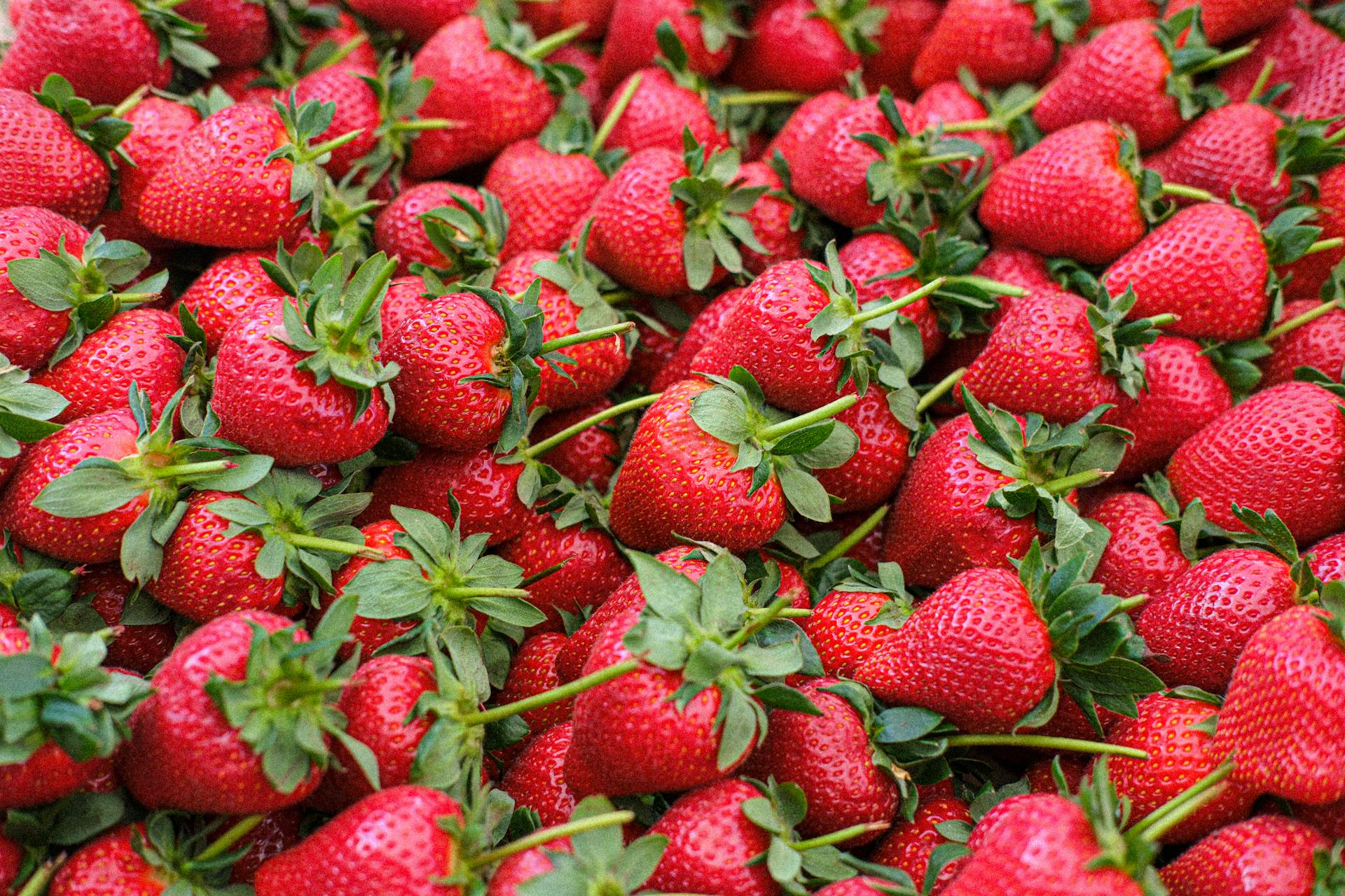 Fabulous Florida Strawberry Month