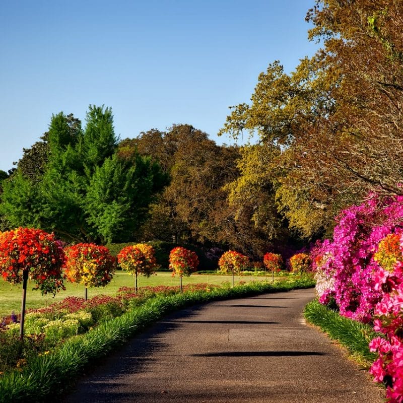 A beautiful outdoor walkway with vibrant flowers for spring.