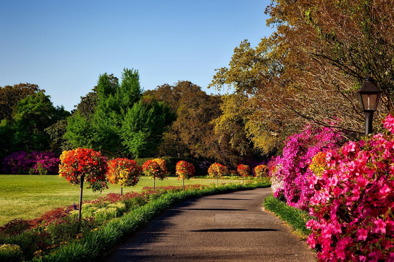 A beautiful outdoor walkway with vibrant flowers for spring.