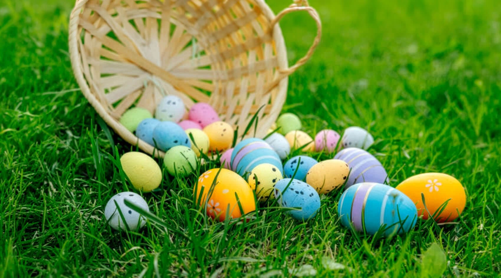 Easter egg basket for the hunt