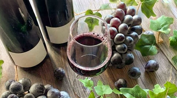 Glass of Malbec wine